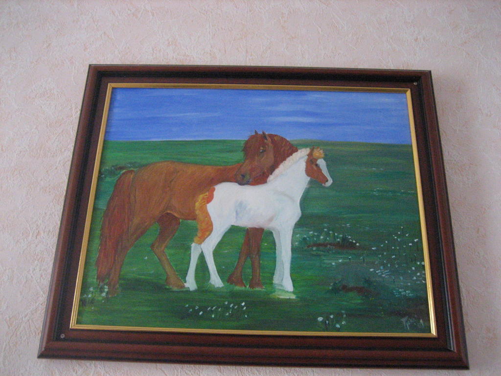 Guesthouse Solgardar Ακουρέιρι Εξωτερικό φωτογραφία